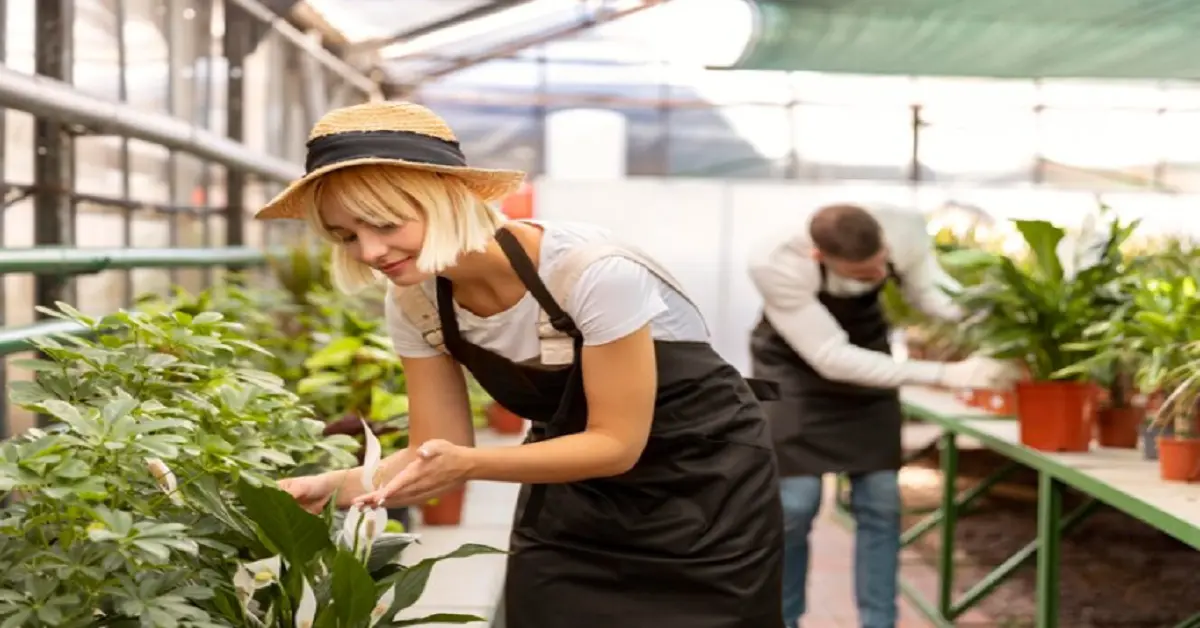 the benefits of plant nurseries webfreen.com